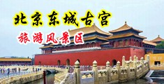 美女的逼喷水中国北京-东城古宫旅游风景区